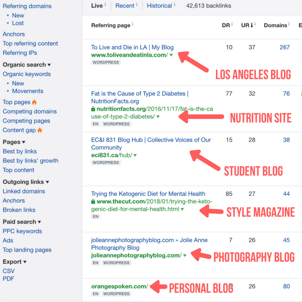 niche diversity link building